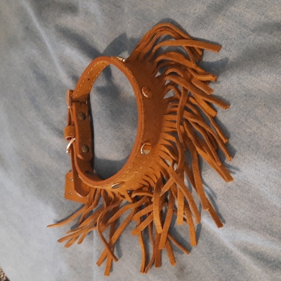lazybonezz Other - Sm/med fringe dog collar 10-14 in neck nwot